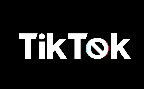 TikTok revendique plus de 134 millions d’utilisateurs mensuels dans l’UE.