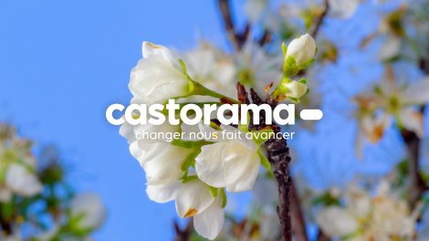 Everyday pour Castorama – « Campagne Jardin Castorama 2023 »